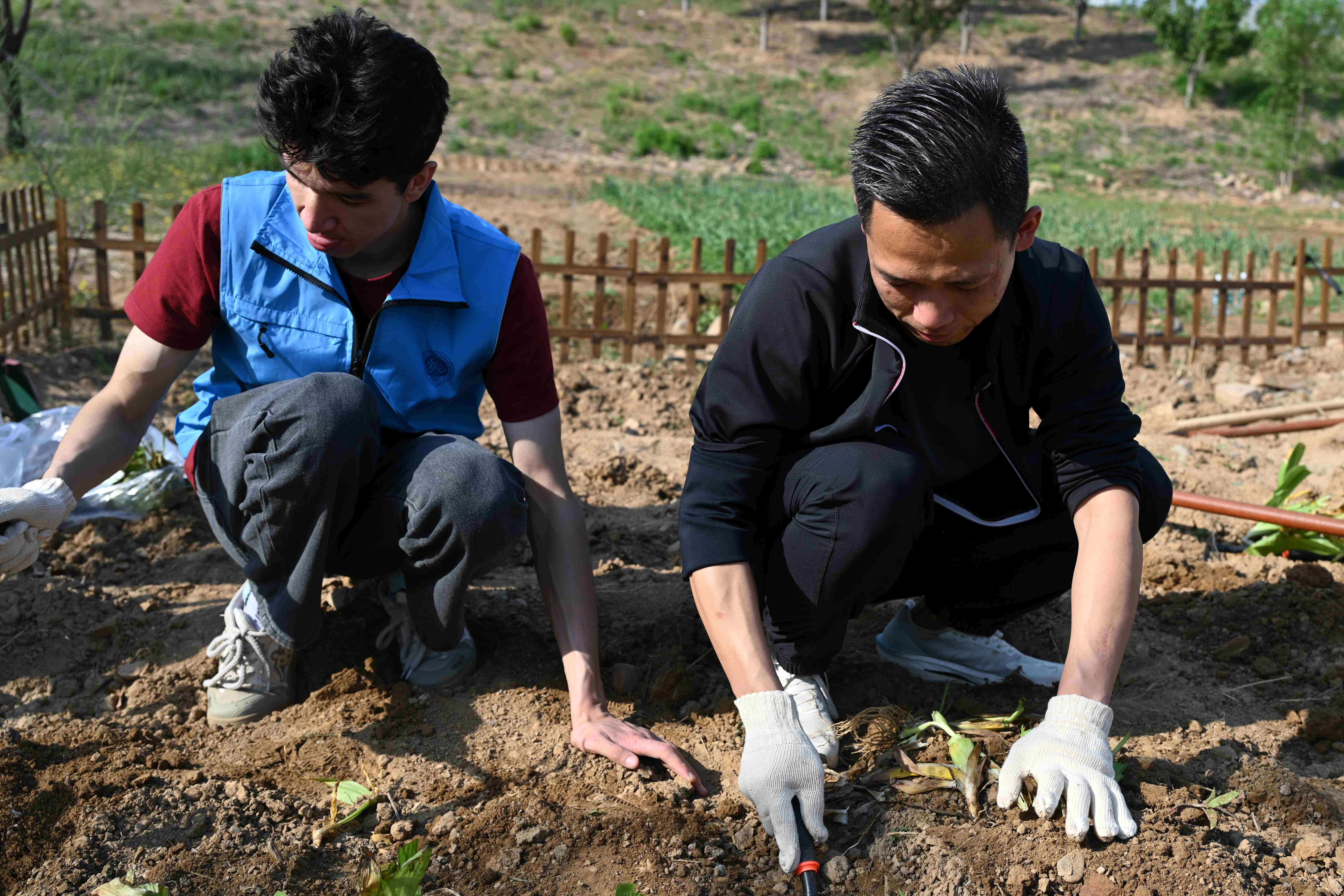 云顶国际(集团)官方网站