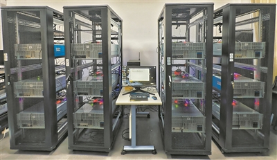 云顶国际(集团)官方网站