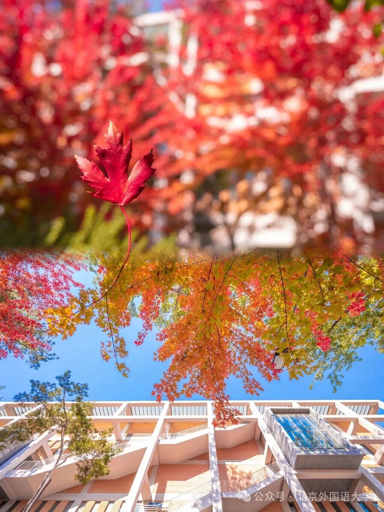 云顶国际(集团)官方网站