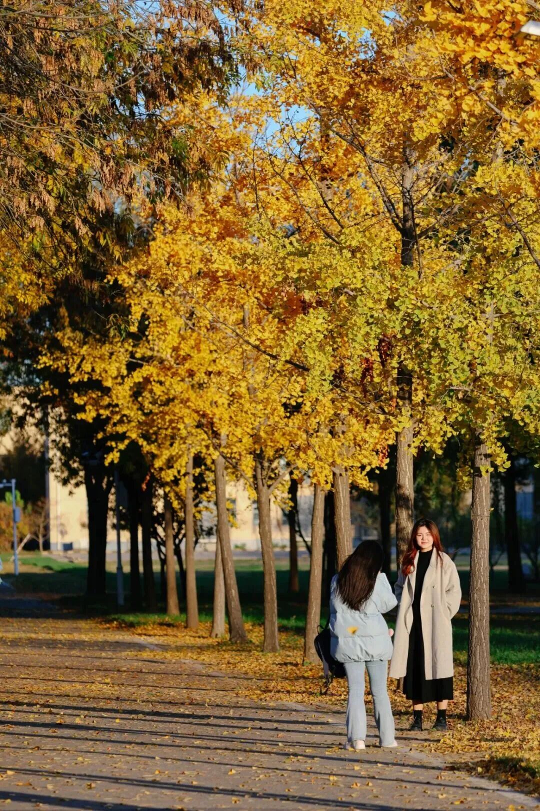 云顶国际(集团)官方网站