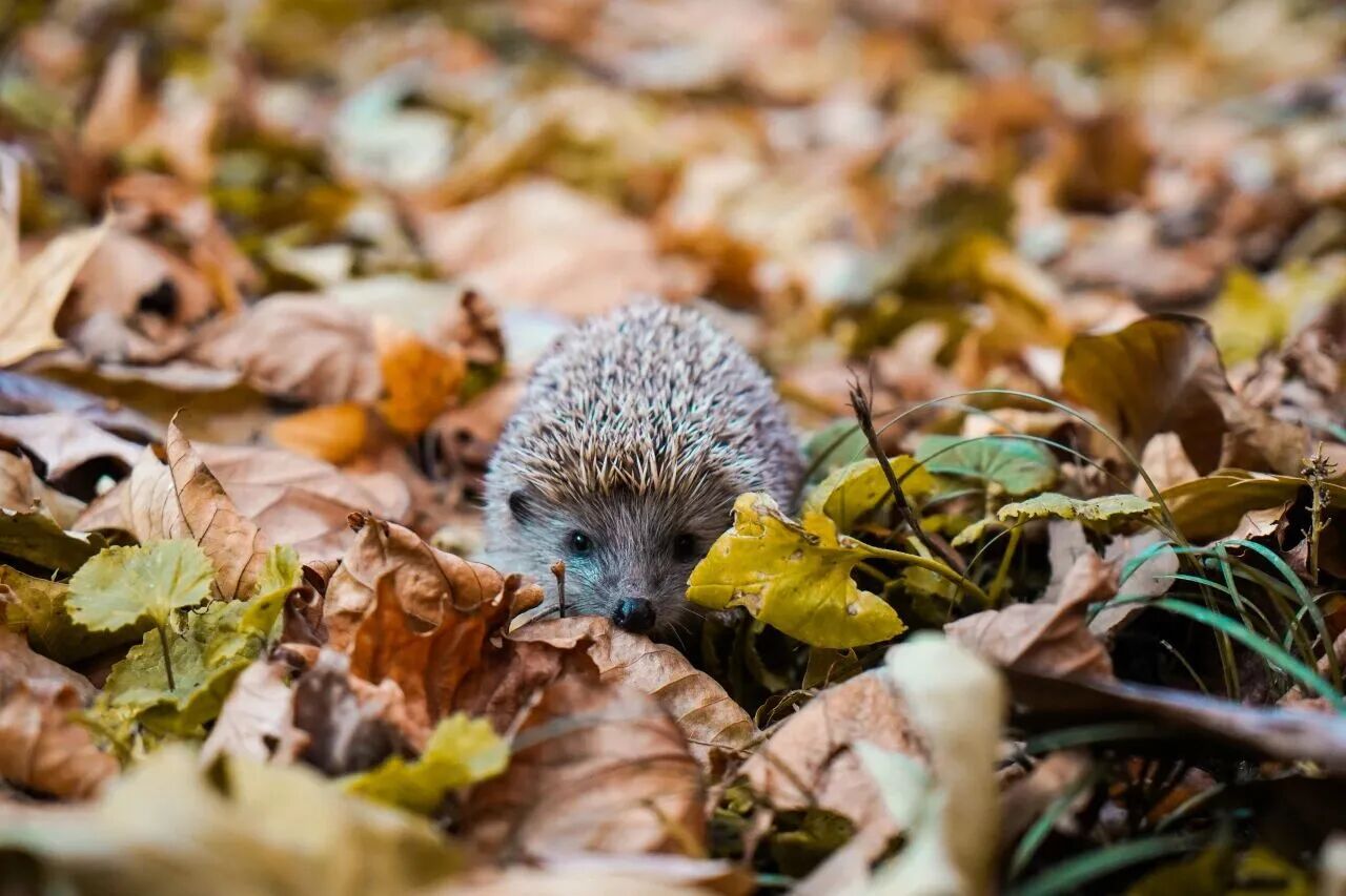 云顶国际(集团)官方网站