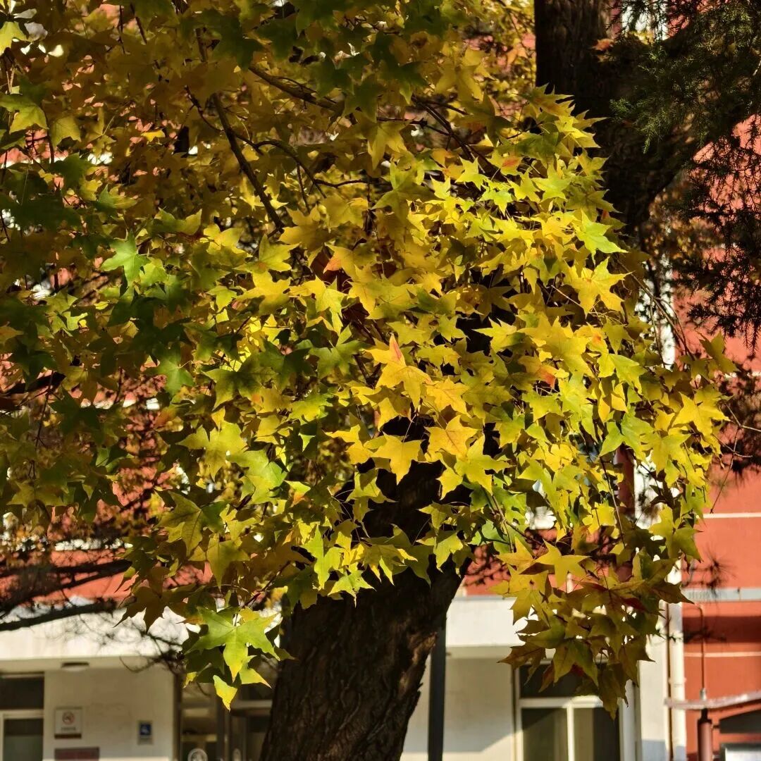 云顶国际(集团)官方网站