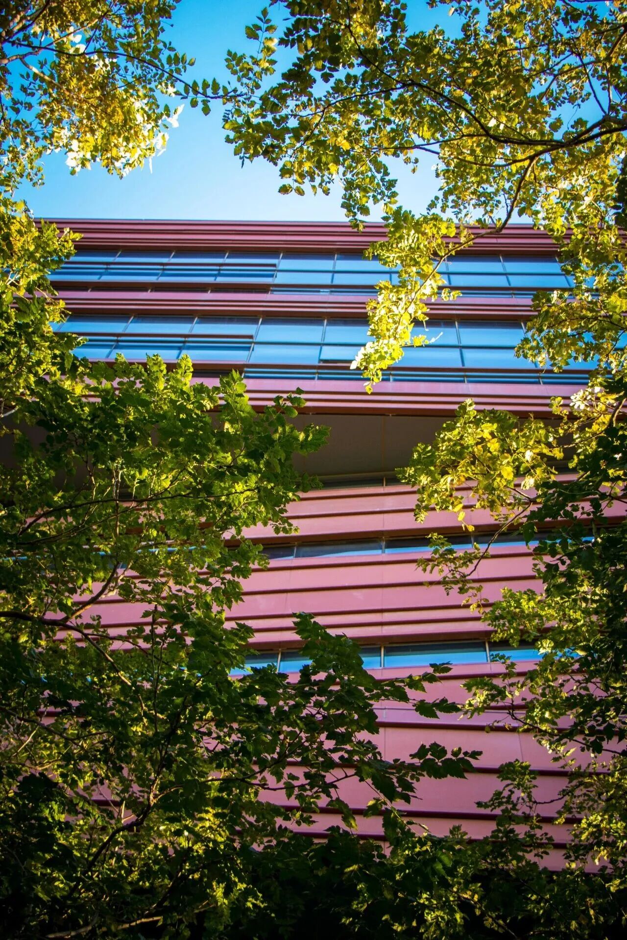 云顶国际(集团)官方网站