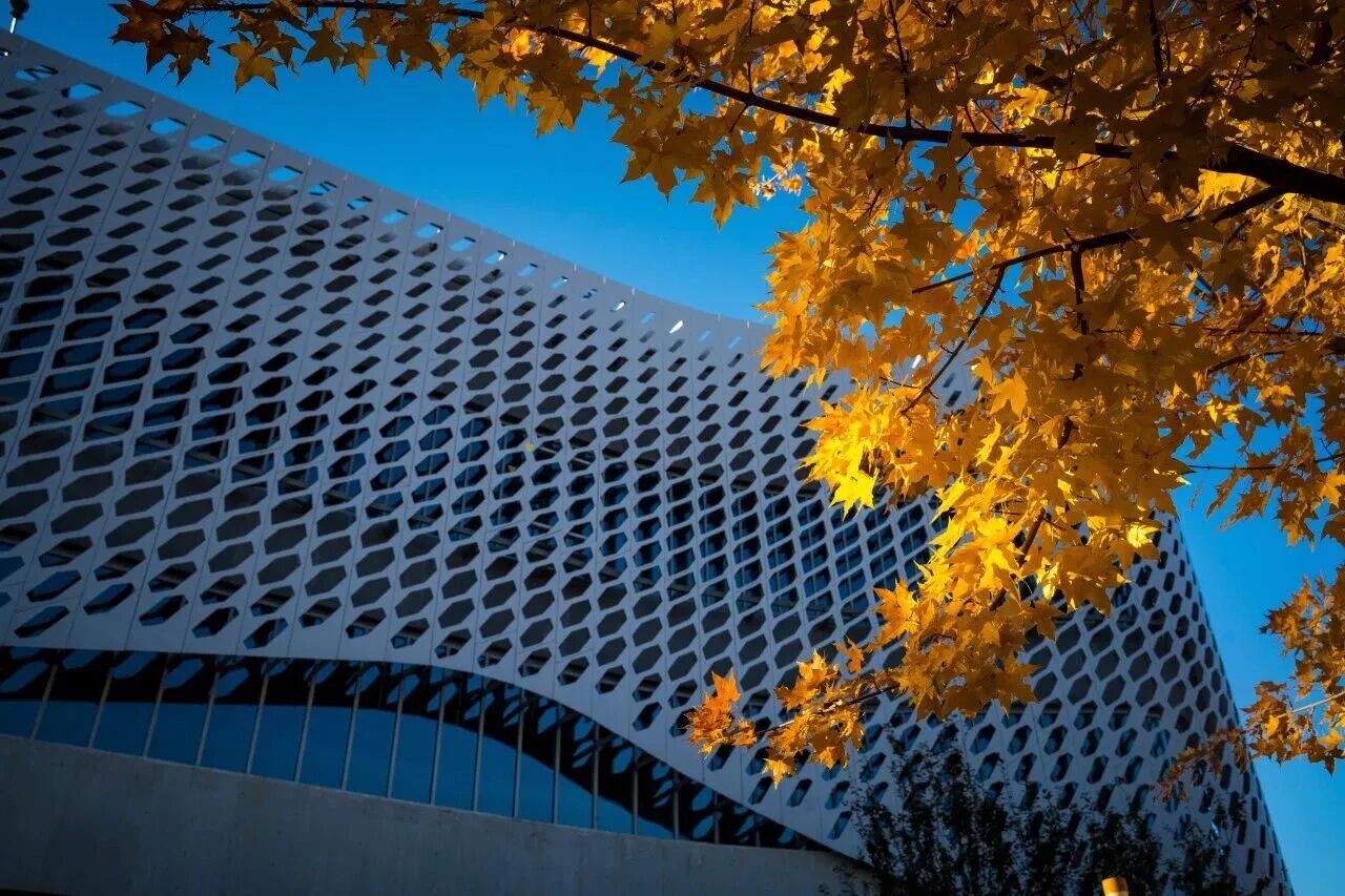 云顶国际(集团)官方网站