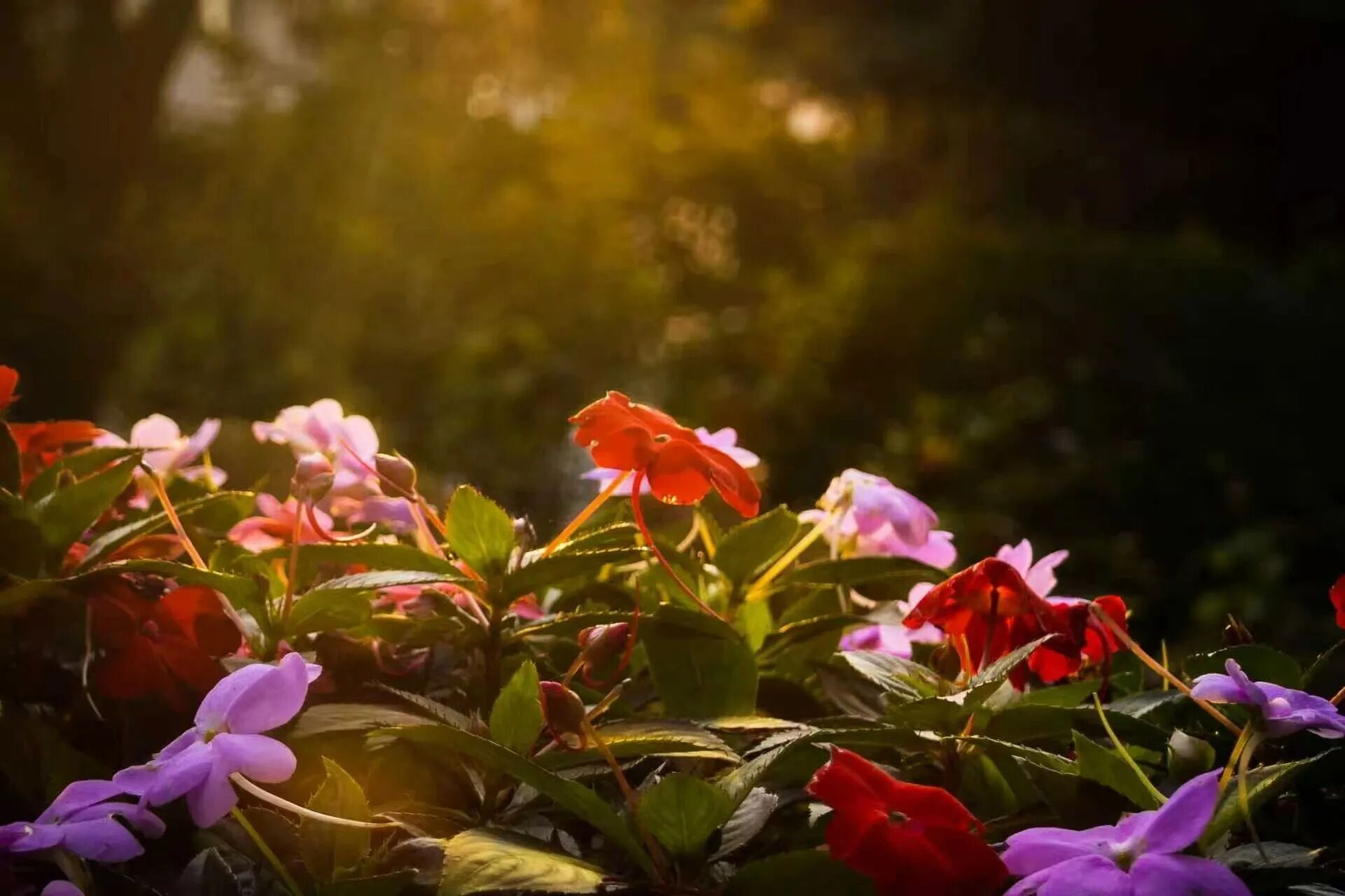 云顶国际(集团)官方网站