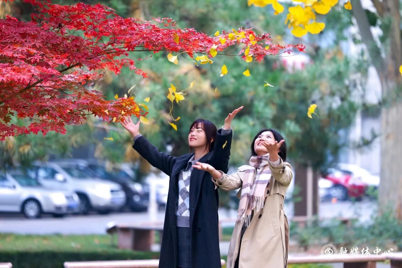 云顶国际(集团)官方网站