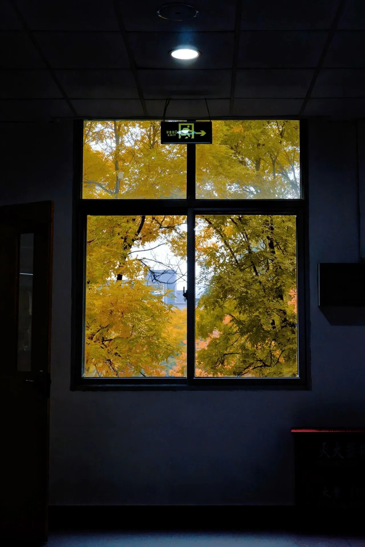 云顶国际(集团)官方网站