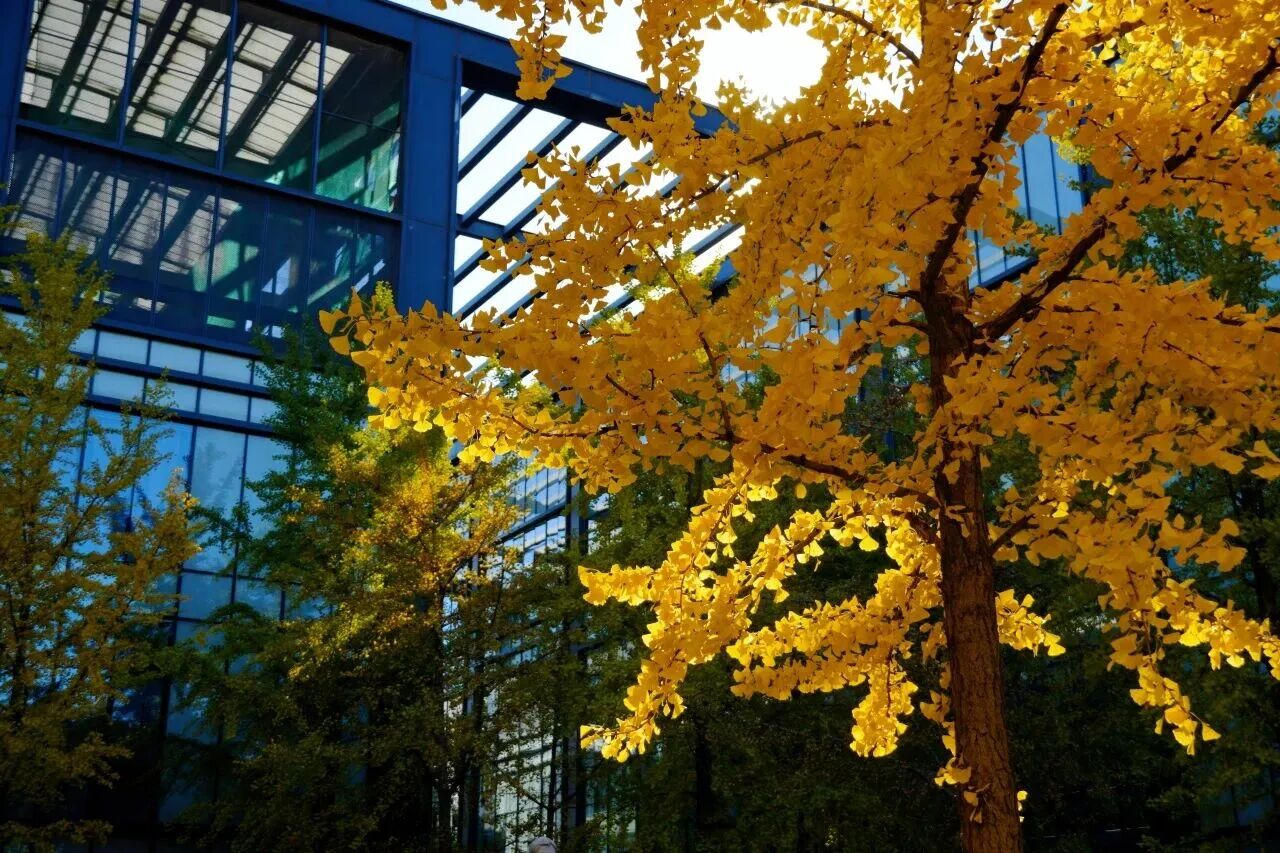 云顶国际(集团)官方网站