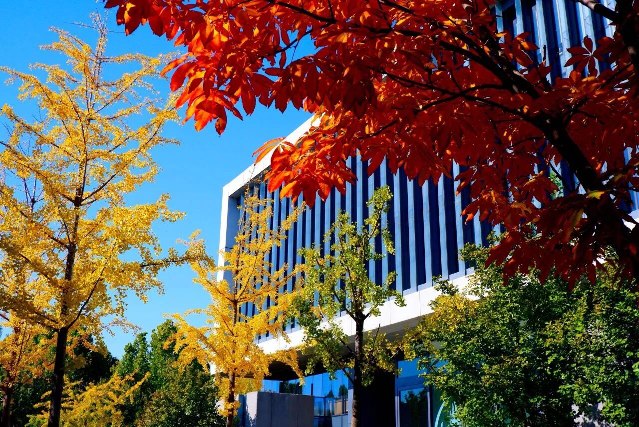 云顶国际(集团)官方网站