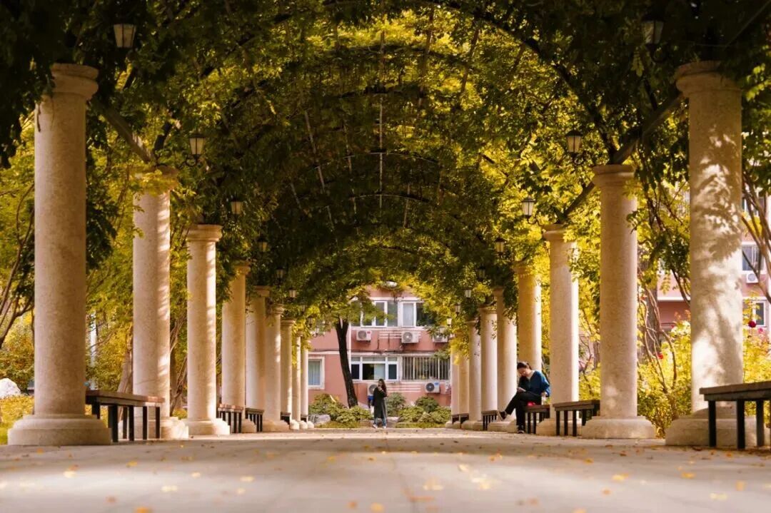 云顶国际(集团)官方网站