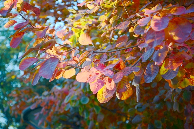 云顶国际(集团)官方网站