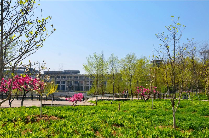 云顶国际(集团)官方网站